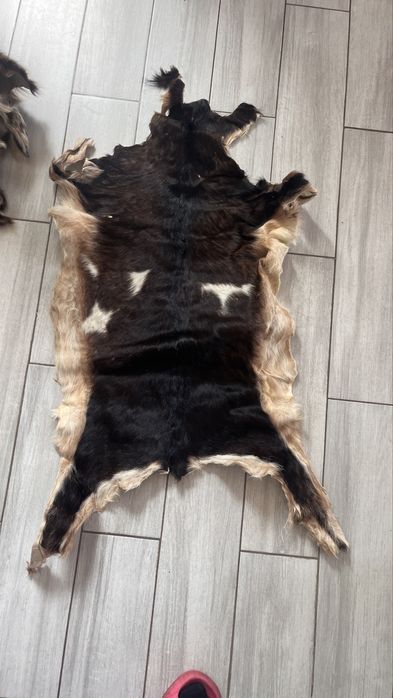 Blanuri de capra si oaie