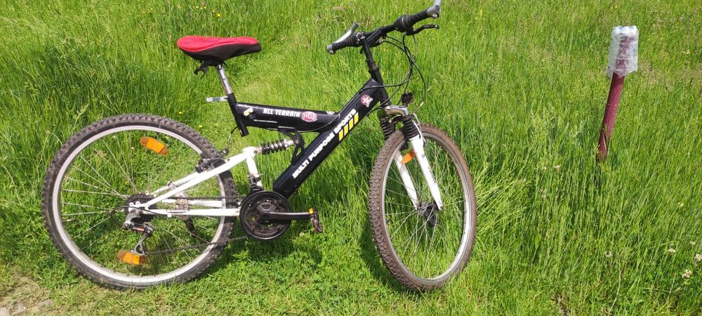 Bicicleta copii și adulți dama