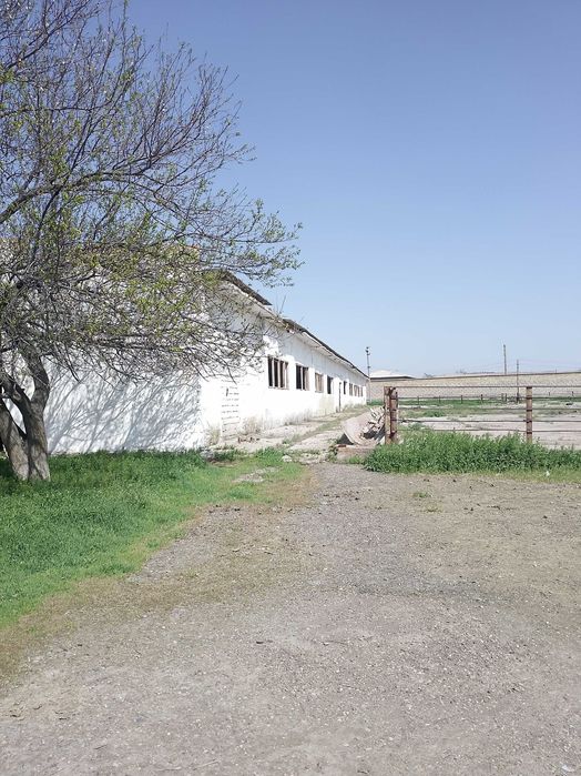 Срочно продается база!