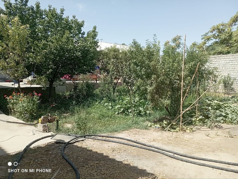 Карши шахар Бустон махалласидан 6 сутухли уй СОТИЛАДИ!