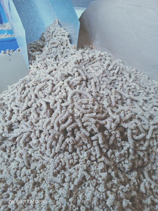 Шөп. Сено кукрузый. Жем.