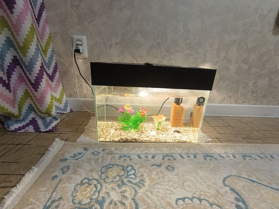 Продаю Аквариум с рыбками