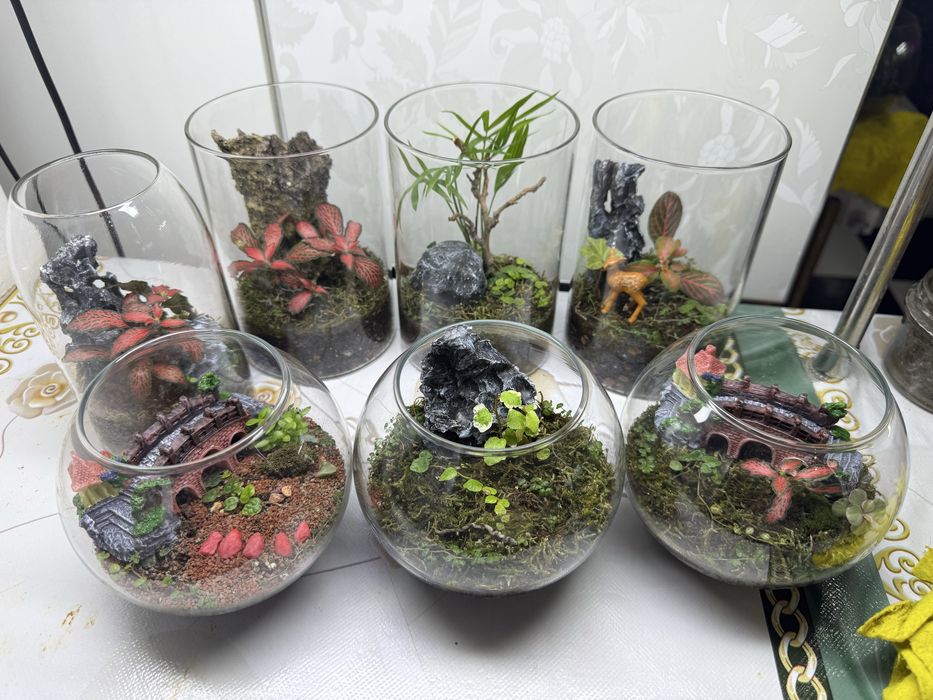 Продам флорариумы!