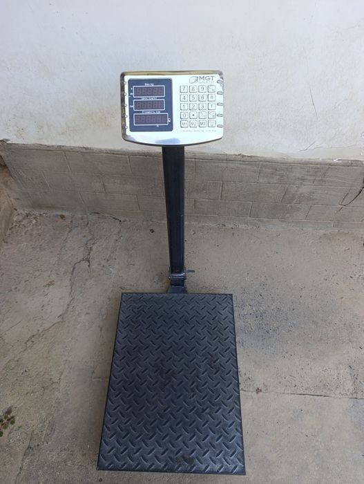 Toroz 600 kg sotiladi
