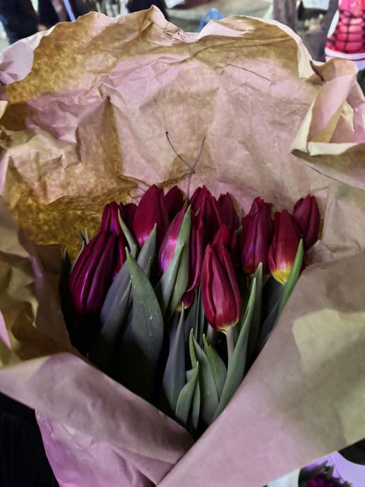 Тюльпаны по 400 оптом и в розницу