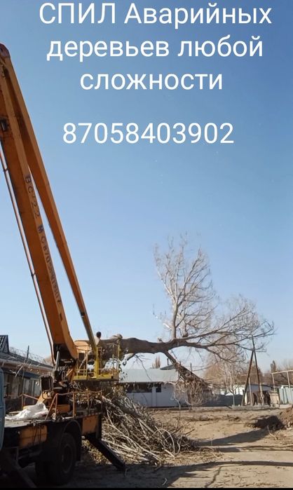 СПИЛ аварийных деревьев
