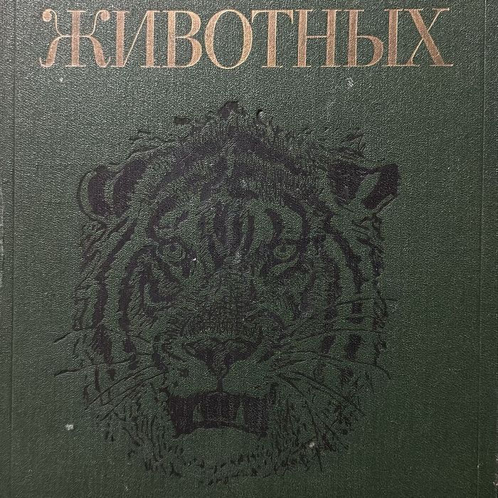 Комплект книг - Жизнь животных