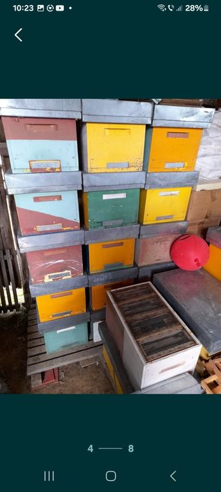 Vand 90 Familii de albine