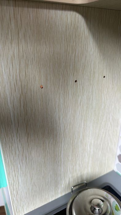 Детская игрушечная кухня