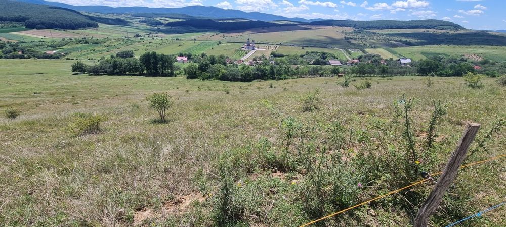 Teren intravilan / extravilan 4  e mp. 14 Hectare
