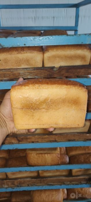 Ором нон хамкорлига таклиф етади