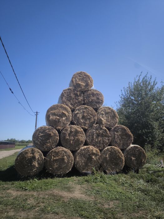 Vând baloți paie