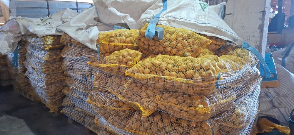 Картофи за консумация и семе