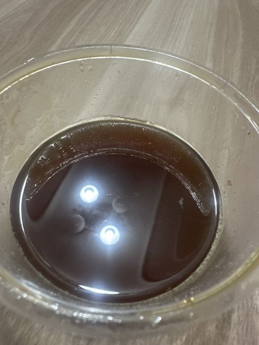 100 % тоза асал семочка ва гречканики