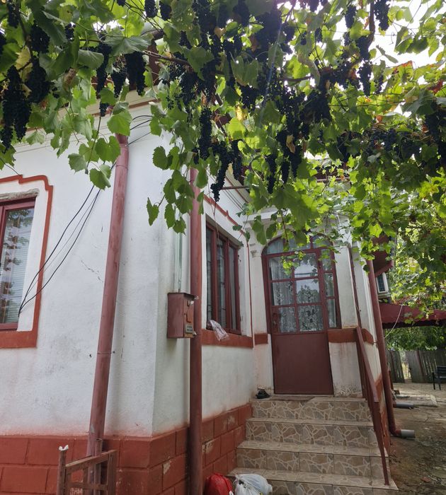 Vand casa in comuna Scaiesti ,Dolj
