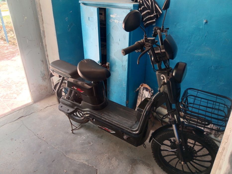 Sukter sotiladi xolati z6r