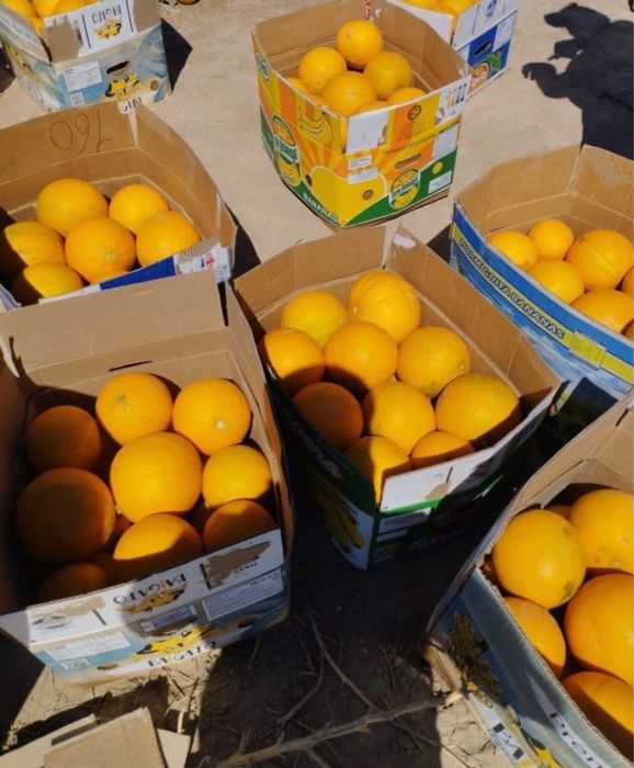 Бакинские семена дыни