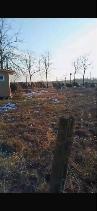 Vand teren Delta Dunari Chilia Veche 700 m2