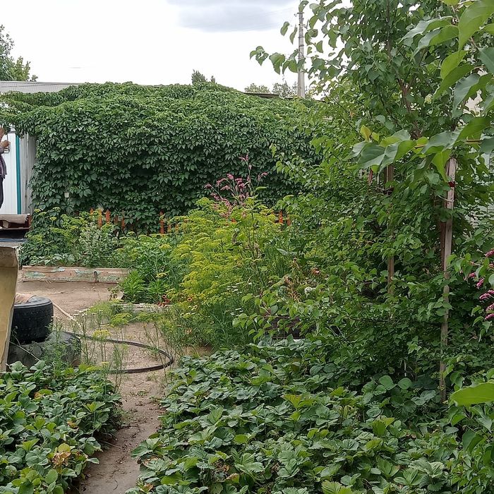 Продам дом частный сектор гмз это