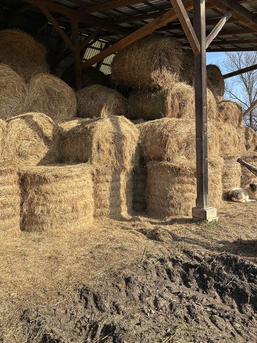 Vând baloți de fân
