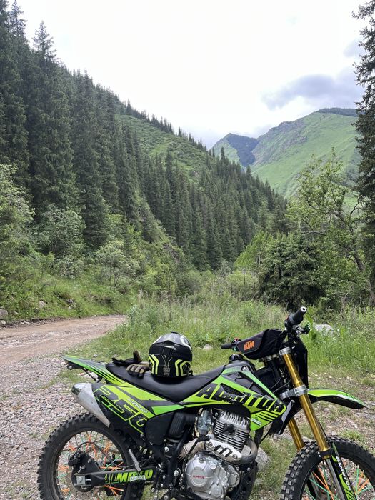 Продам алмотор 250сс эндуро