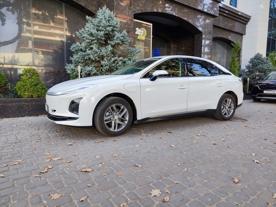 Услуги по пассажирским перевозкам  Hongqi eqm5