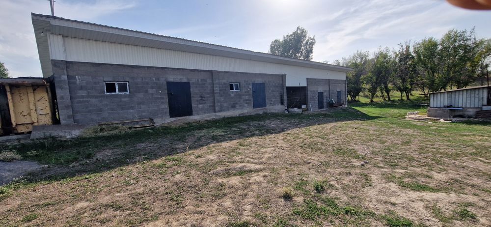 Сдам в аренду ФАЗЕНДУ