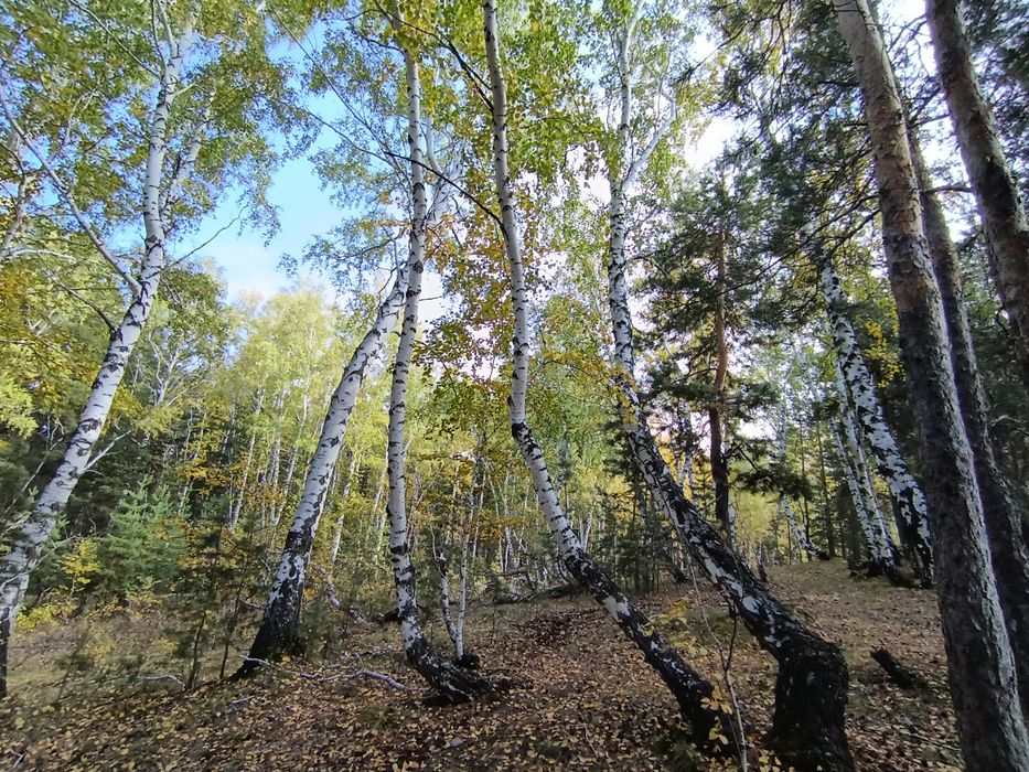 Продаю Honor 400 Lite новый!