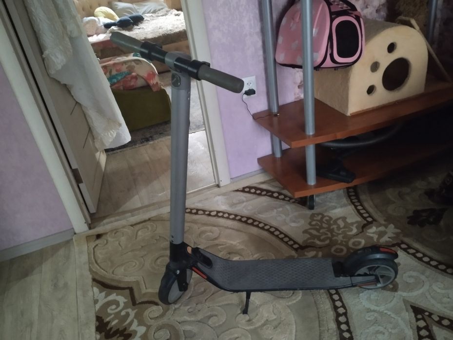 Самокат Ninebot продам