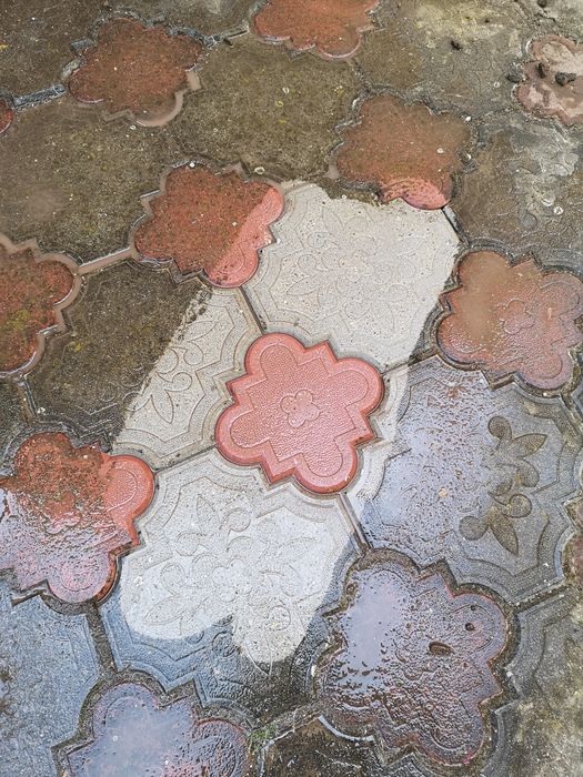 Spălăm pavaje curți garduri fațada acoperis