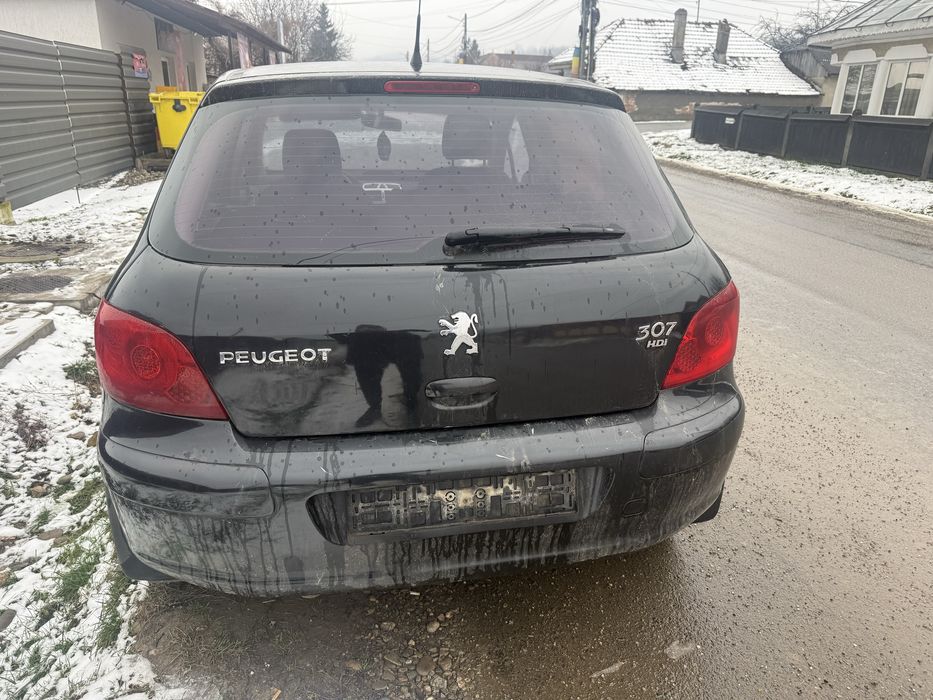 Piese caroserie peugeot 307