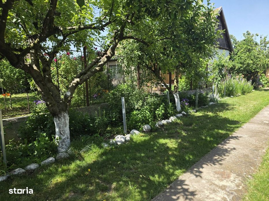 De vânzare casă deosebită situată în  Santăul Mic