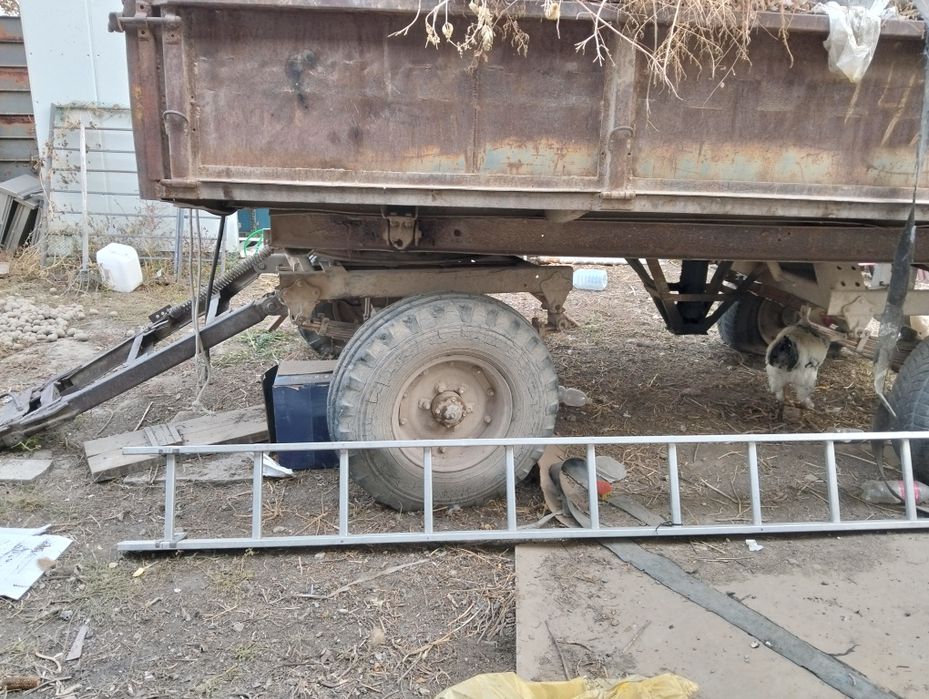 Трактор. МТЗ-80 есть прицеп борон арычник