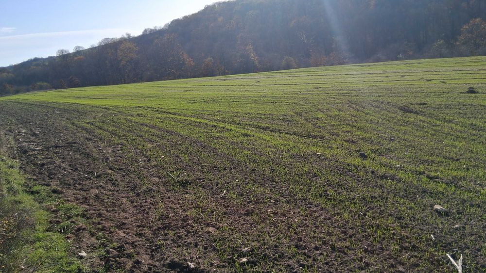 Земеделска земя обл.Варна, общ.Аксаково, с.Зорница