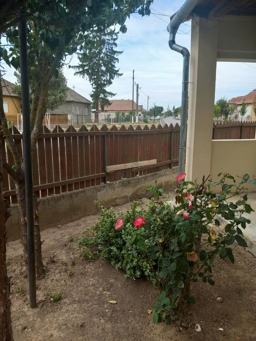 Casa cu anexe si teren de vanzare - sat Vasad