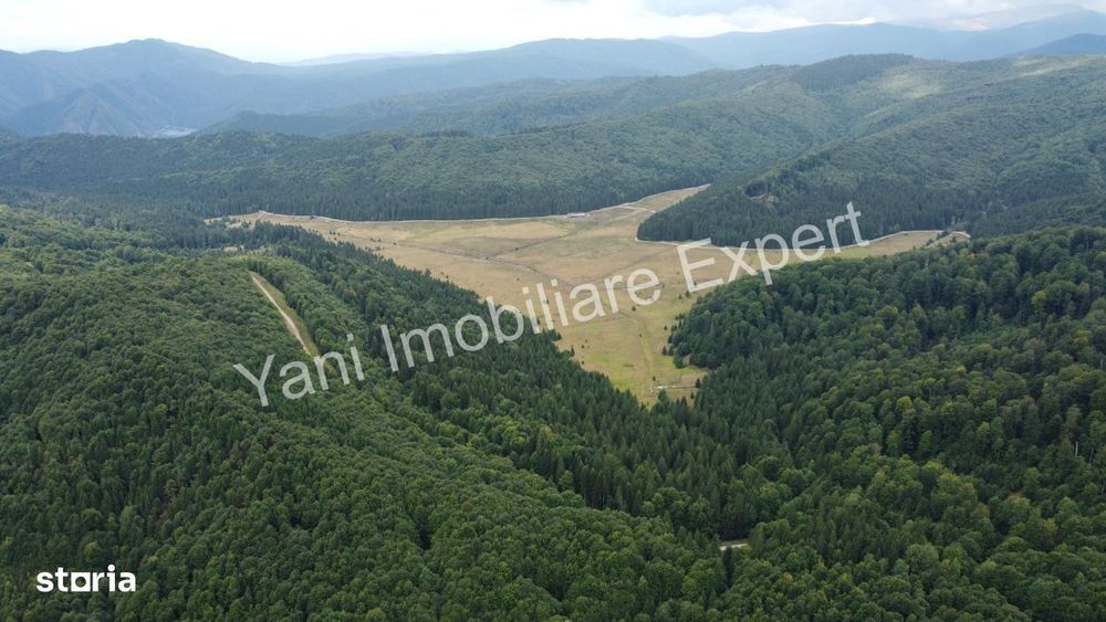 Teren de vânzare pe Transfăgărășan, zona Molivișu ( 69.450 mp )