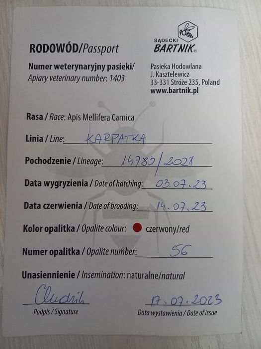 Продаю пчел, пчеломаток(онаари))