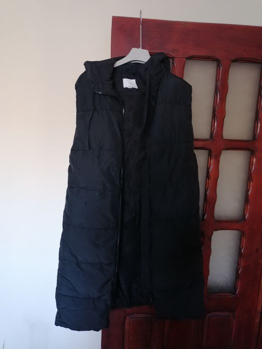 Vesta matlasata dama