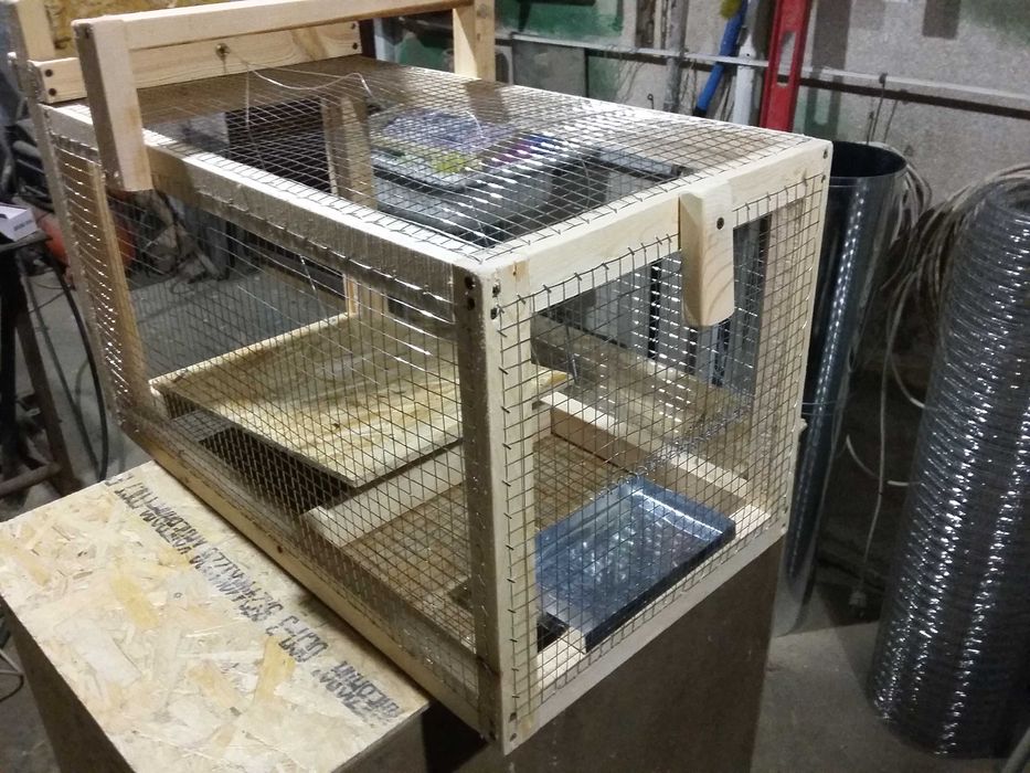 ловушка для кошек