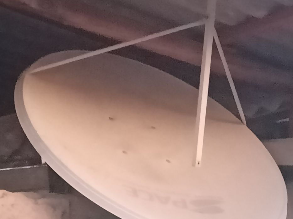 Xammasi ishlaydi javob