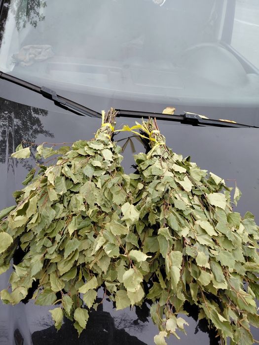 Продам веники и метёлки