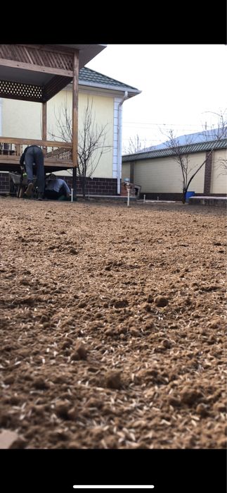 Газон Автополив