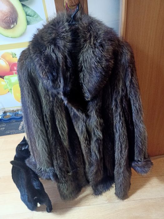 Продам шубу из меха енота