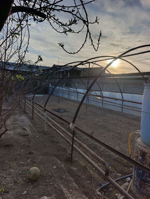 Теплица 6*20 отапленя катёл у́тин ку́мирга му́лжаланган нархи 1200$