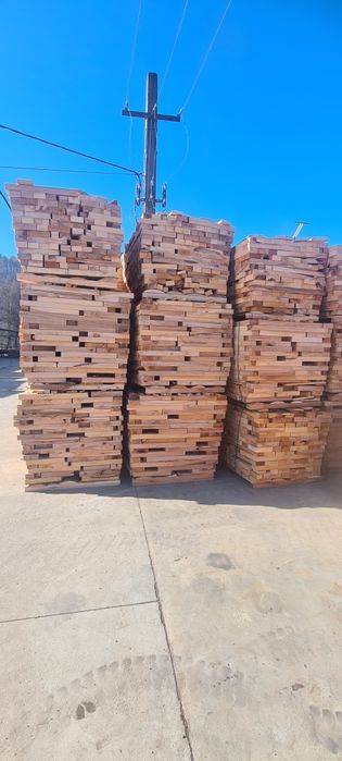 Deseuri fag .lemn foc .cărbune lignit