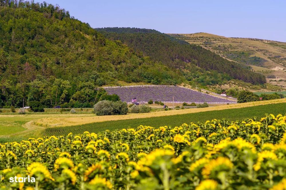 Teren De Vânzare
Dn14a, Târnăveni