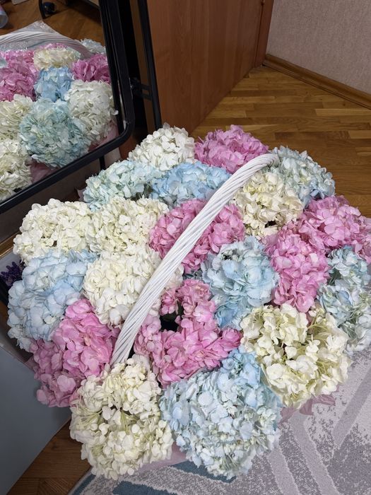 Гортензия цветы белые розовые