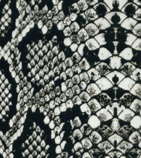 Фолио за Хидрографика