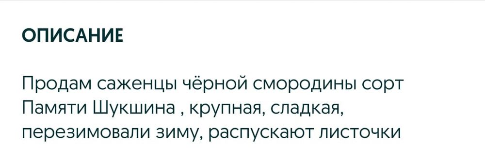 Чёрная смородина 2500 тенге