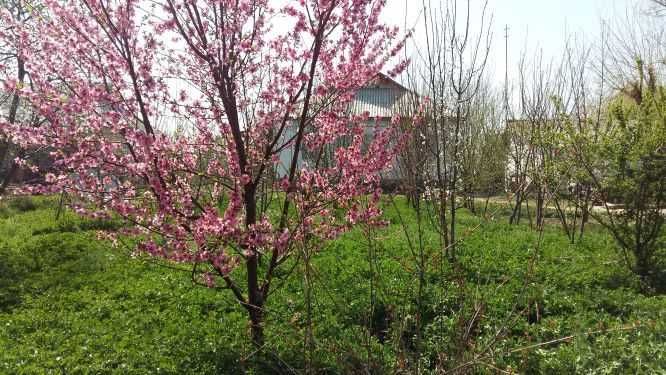 Дом продается / Үй сатылады Микоян (Ынтымак)